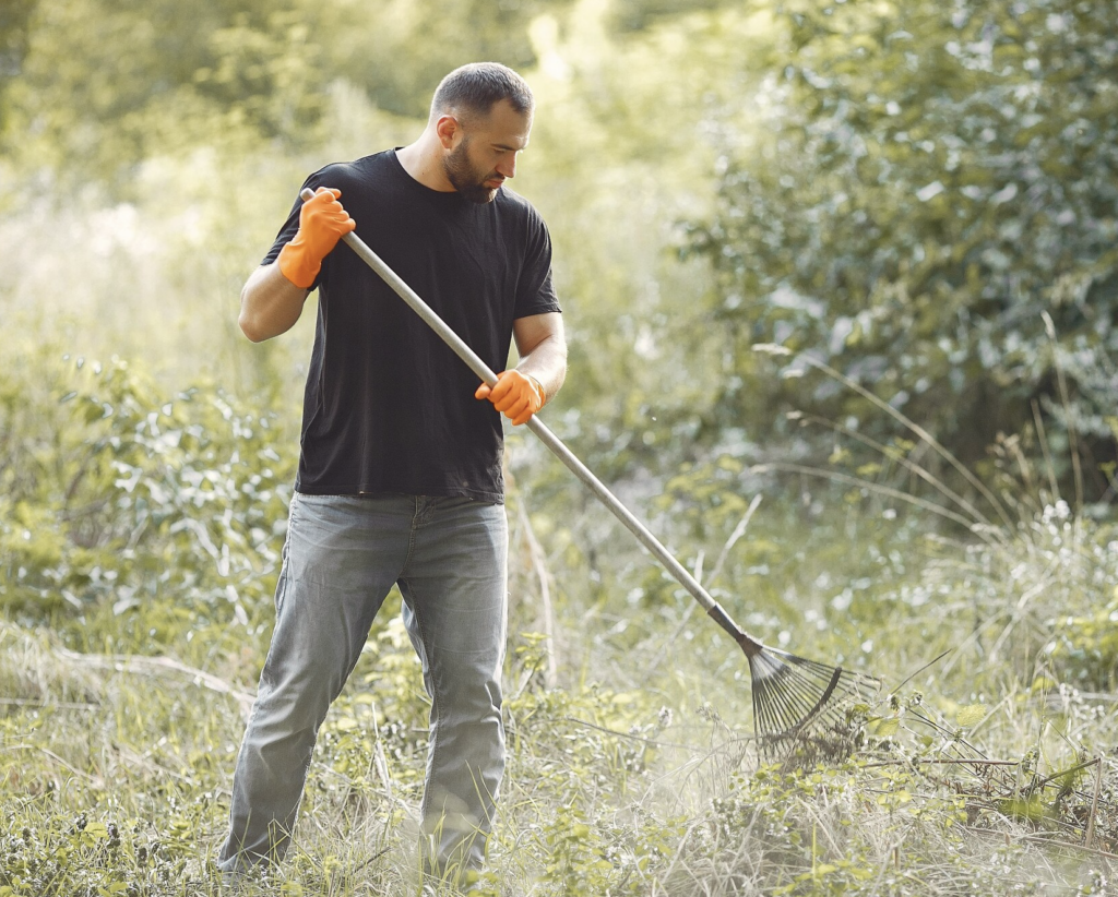 limpieza de jardines